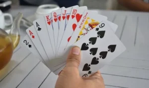 Sắc Tê Nhà Cái MMLive